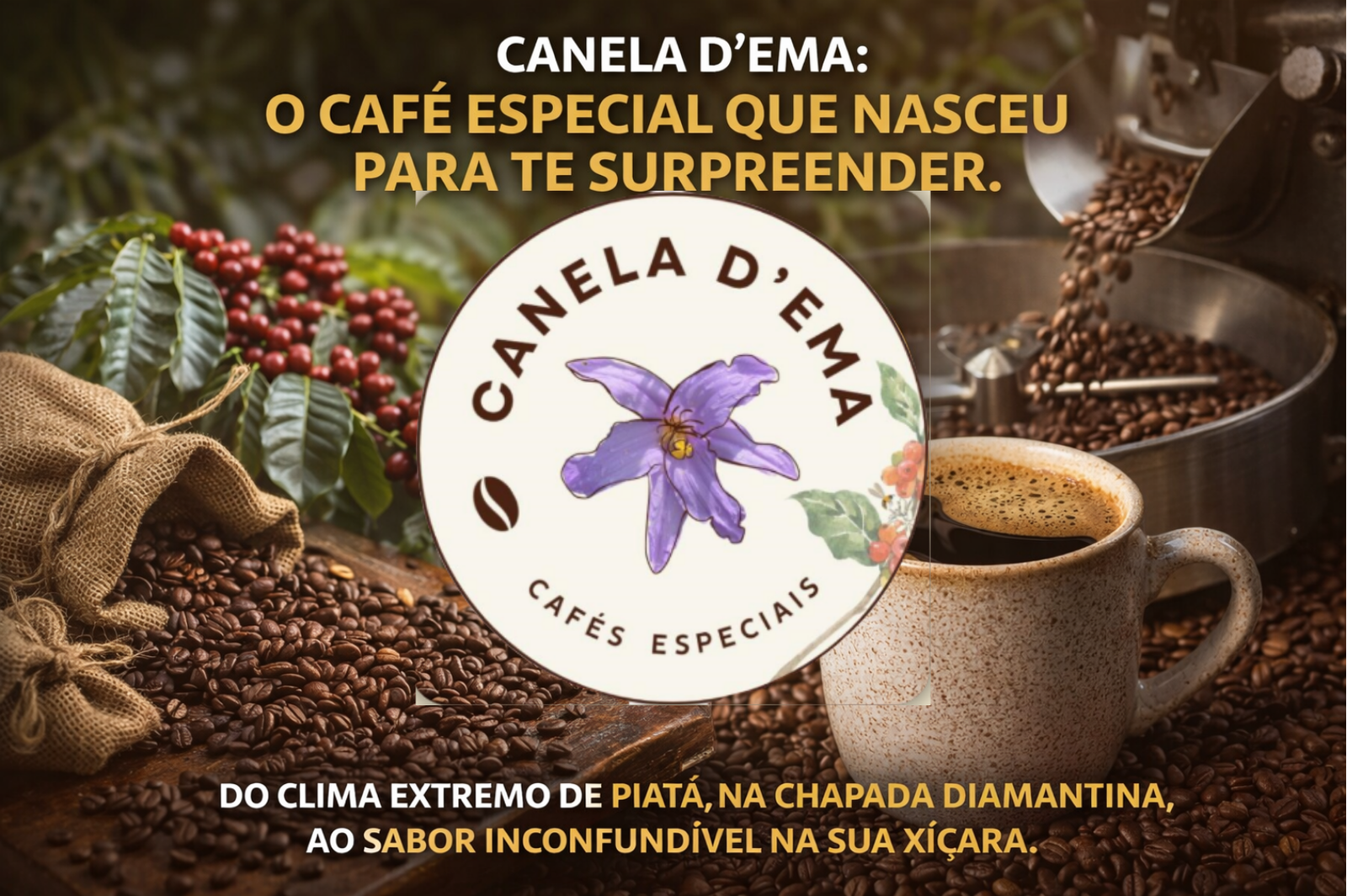 Exemplo de fachada de negócio em Piatã